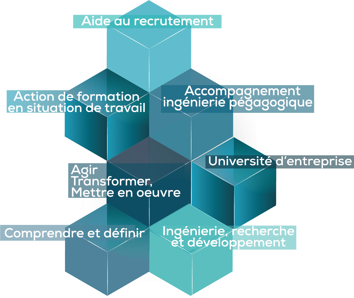 Conseil et expertise